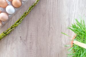 Decoding the Renaissance: What Statement Best Describes the Catholic Church?