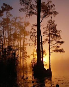 Unraveling the Secrets: Top Churches in Florida You Must Visit