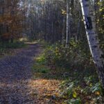Can a Covenantal Presbyterian Church Join 9Marks? Examining Partnerships