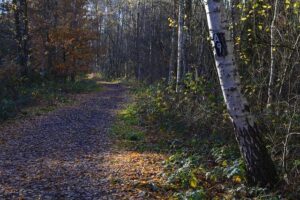 Can a Covenantal Presbyterian Church Join 9Marks? Examining Partnerships
