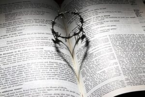 Name Lynn in the Bible: Tracing Linguistic Origins