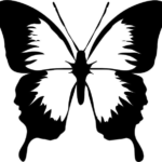 Life Transformations: Personal Stories of How God Changed Lives 37 Life Transformations: Personal Stories of How God Changed Lives