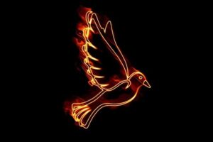 How Many Pentecostal Churches Are There in the US? Statistical Insights!