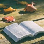 Bible Say Jesus’ Beard Plucked Out: Unraveling the Mysteries