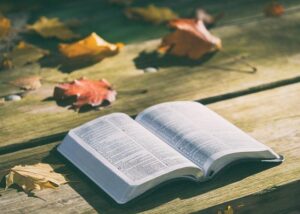 Bible Say Jesus’ Beard Plucked Out: Unraveling the Mysteries