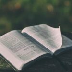 What Are Kingdom Principles in the Bible: A Comprehensive Guide