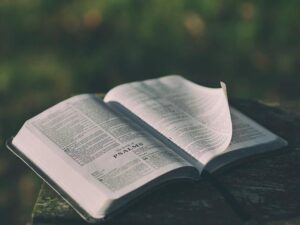 What Are Kingdom Principles in the Bible: A Comprehensive Guide