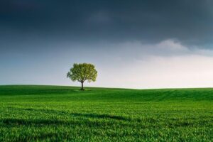 What Are Holy Days of Obligation in the Catholic Church? Liturgical Observances