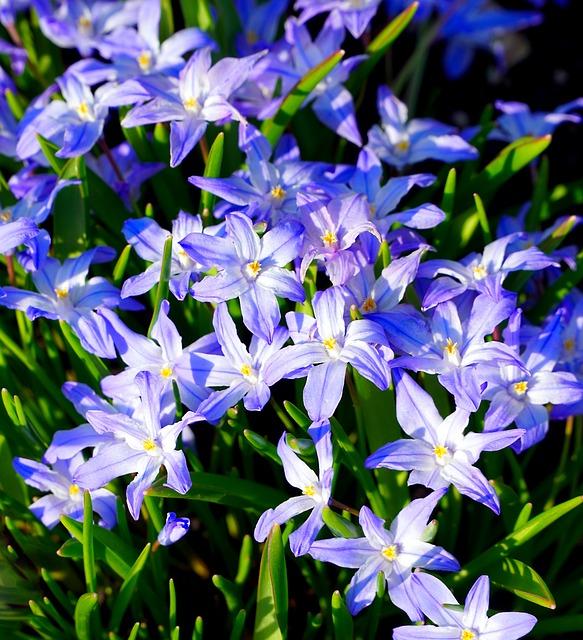 - The Significance of Lucille in Biblical History