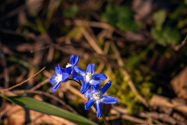 - The Story behind Lucille in the Bible