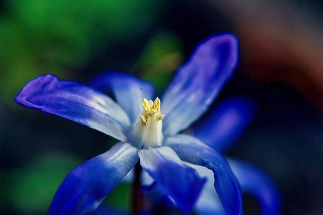 - Lucille: A Name with Biblical Roots